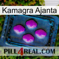 Kamagra Ajanta 04